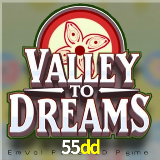 55dd.com